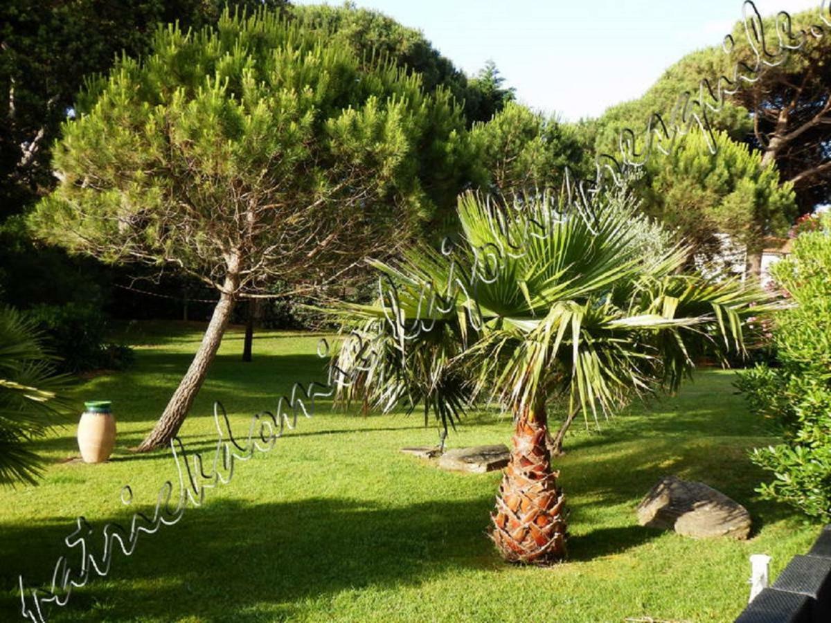 Magnifique Parc De La Presqu'Ile Avec Piscine Et Plage Face A Porquerolles ! Hyères Exterior foto